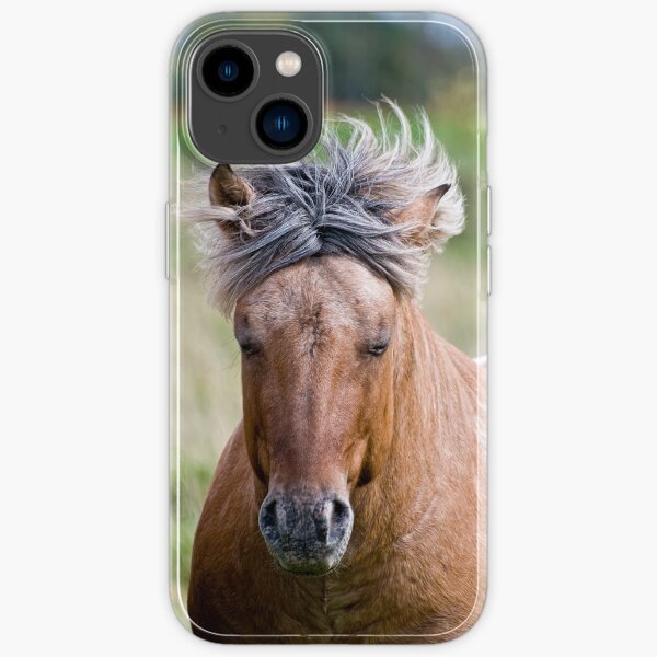 iPhone 14 - Soft