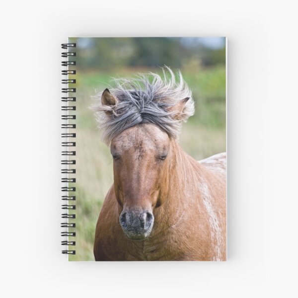 Spiral Notebook
