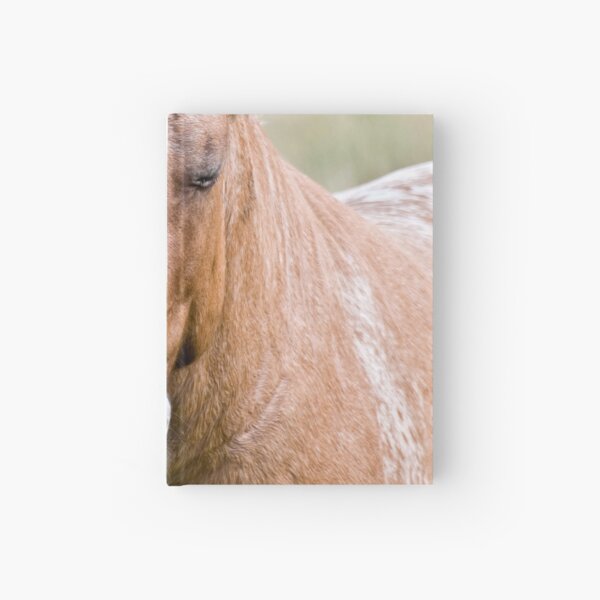 Hardcover Journal
