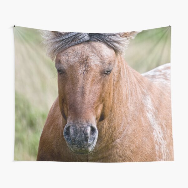 Tapestry