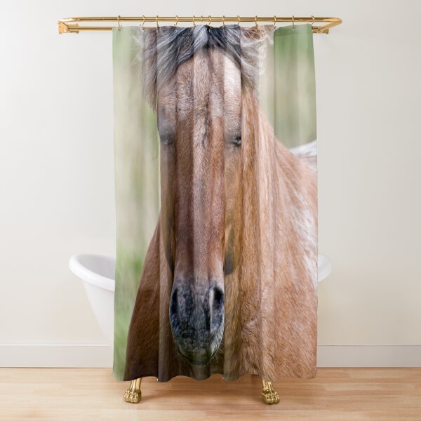 Shower Curtain