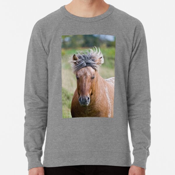 Lightweight Sweatshirt