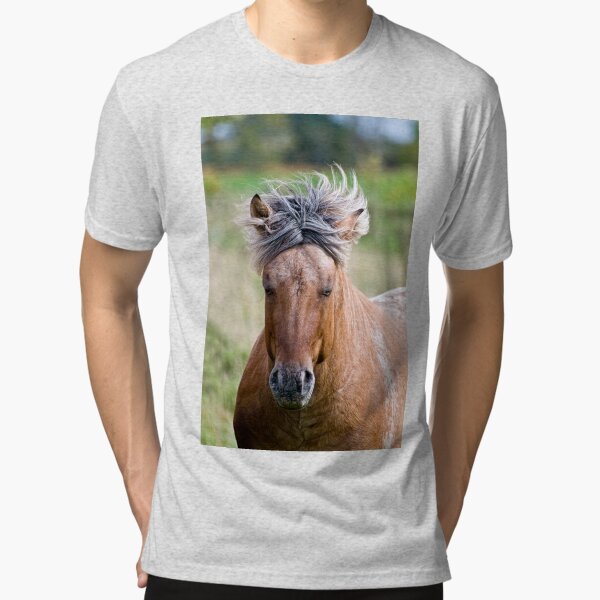 Tri-blend T-Shirt