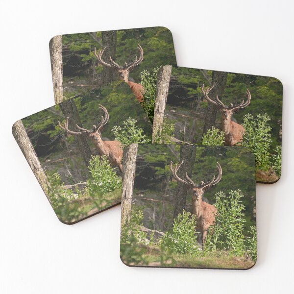 Item preview, Bull Elk designed and sold by Michael Cummings.