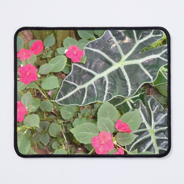 Item preview, Alocasia with Pink Flowers designed and sold by GardenArtworks.
