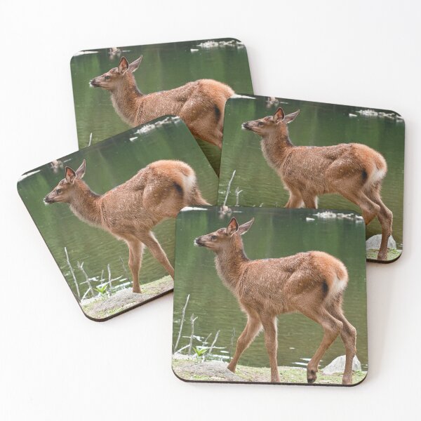 Item preview, Elk Calf designed and sold by Michael Cummings.