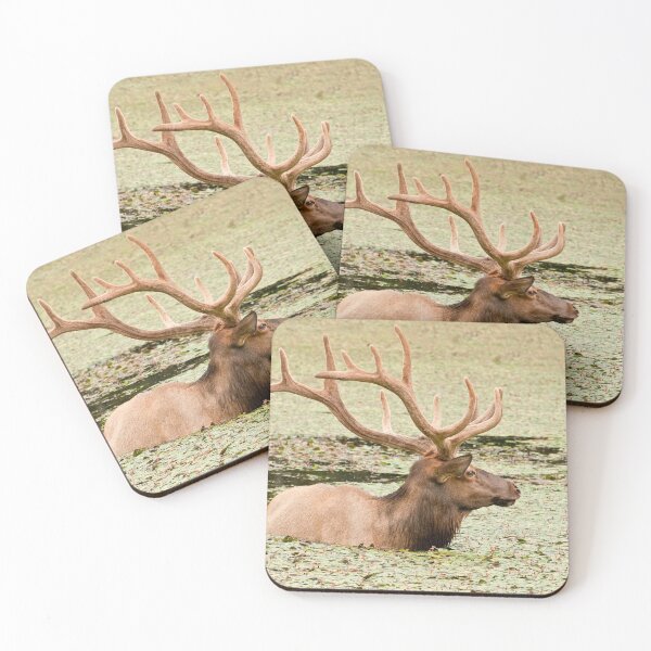 Item preview, Elk In Pond 2 designed and sold by Michael Cummings.