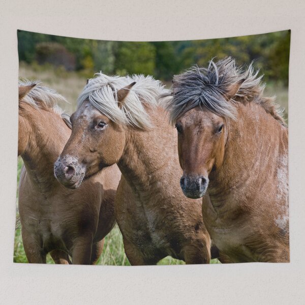 Item preview, Three Horses designed and sold by Michael Cummings.