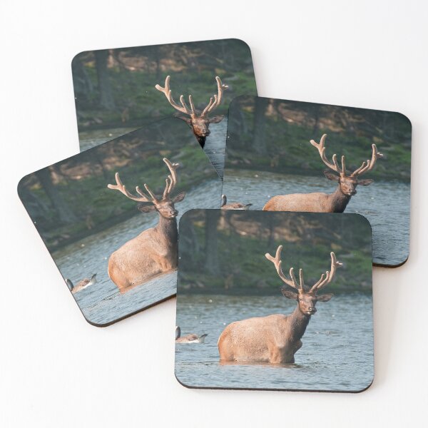 Item preview, Elk In Pond designed and sold by Michael Cummings.