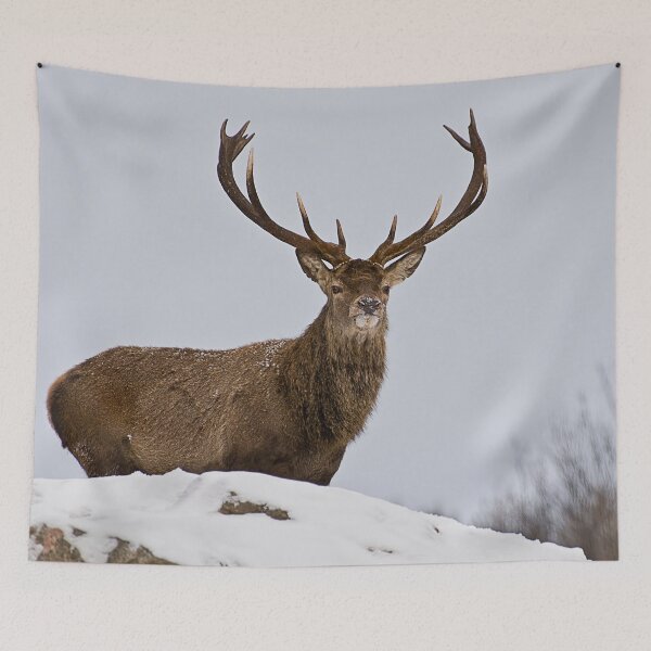 Item preview, Elk On Hill designed and sold by Michael Cummings.