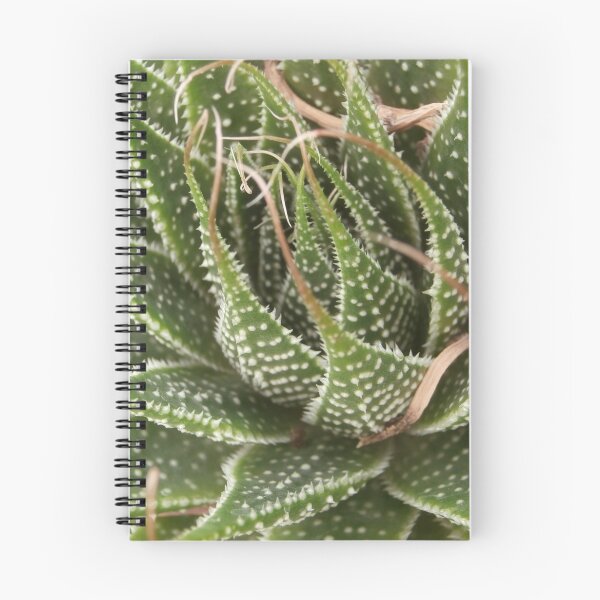 Item preview, Aloe designed and sold by Sarah Schwartz.