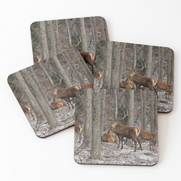 Item preview, Elks In The Woods designed and sold by Michael Cummings.