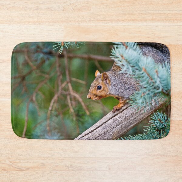 Item preview, Gray Squirrel designed and sold by Michael Cummings.