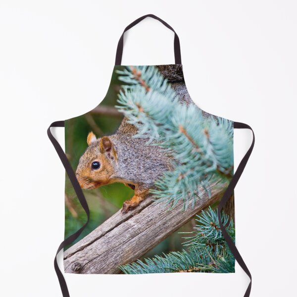 Item preview, Gray Squirrel designed and sold by Michael Cummings.