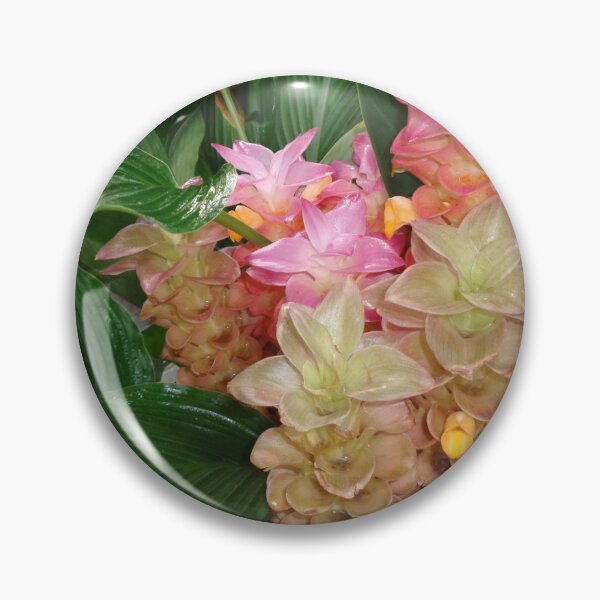 Item preview, Turmeric designed and sold by GardenArtworks.