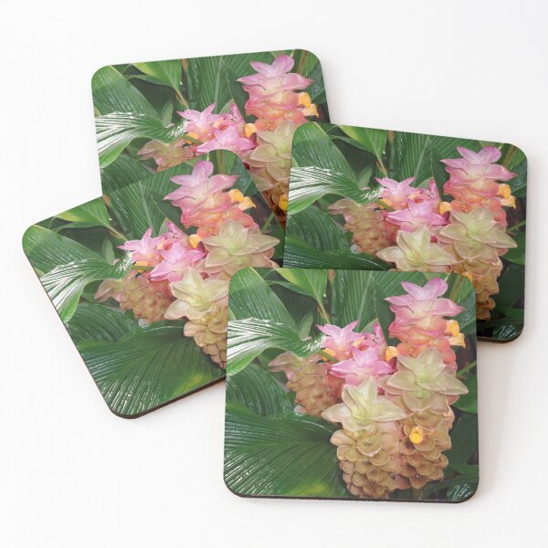 Item preview, Turmeric designed and sold by GardenArtworks.