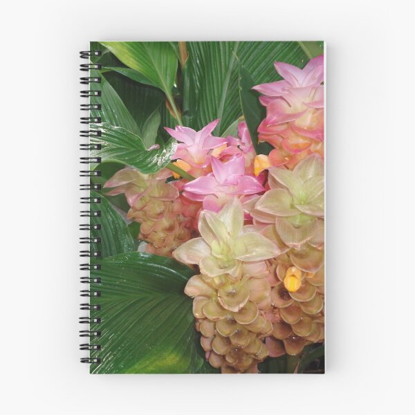 Item preview, Turmeric designed and sold by GardenArtworks.