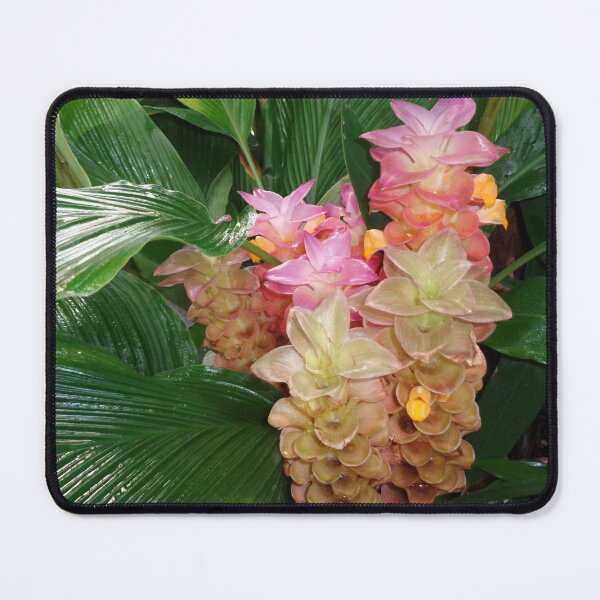 Item preview, Turmeric designed and sold by GardenArtworks.