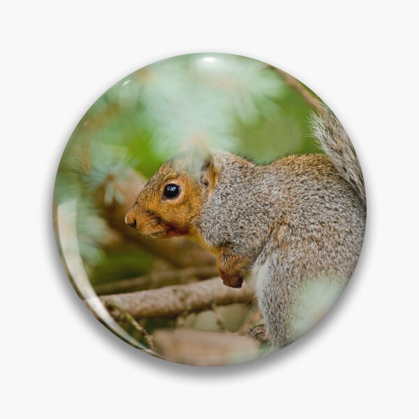 Item preview, Grey Squirrel designed and sold by Michael Cummings.