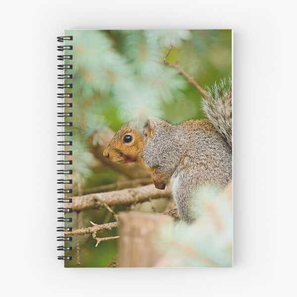 Item preview, Grey Squirrel designed and sold by Michael Cummings.