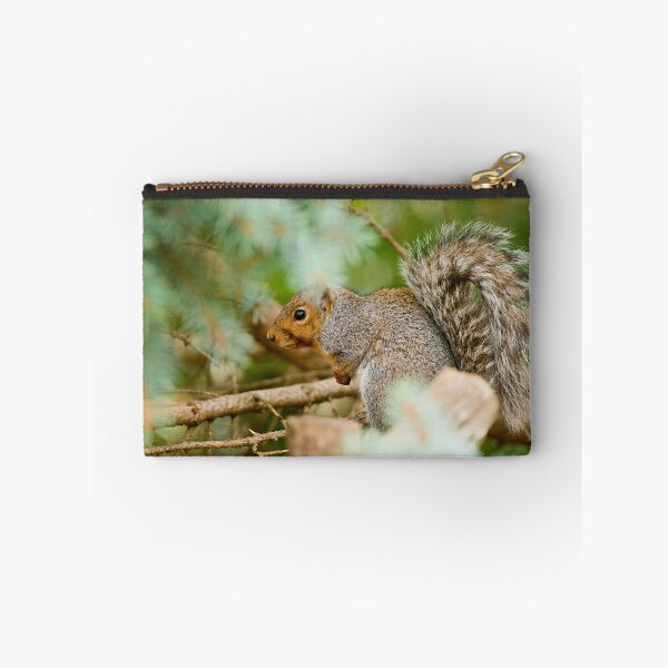 Item preview, Grey Squirrel designed and sold by Michael Cummings.