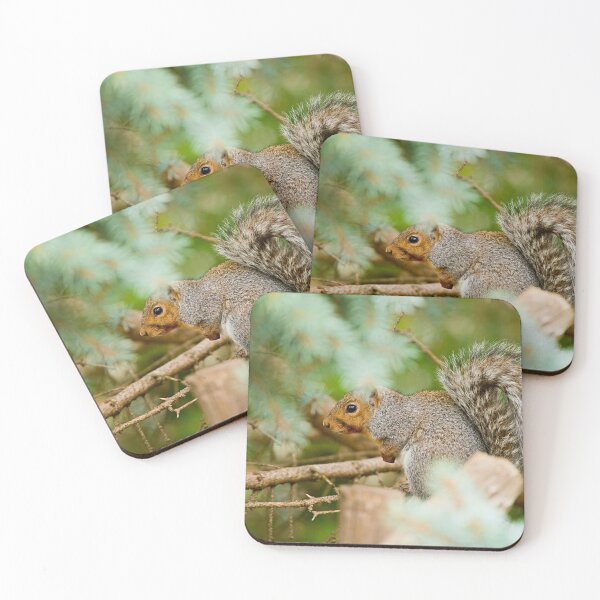 Item preview, Grey Squirrel designed and sold by Michael Cummings.