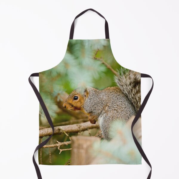 Item preview, Grey Squirrel designed and sold by Michael Cummings.