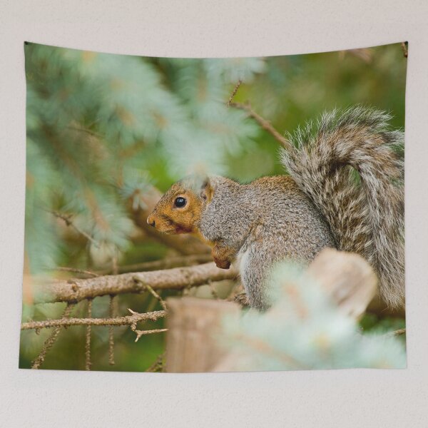 Item preview, Grey Squirrel designed and sold by Michael Cummings.
