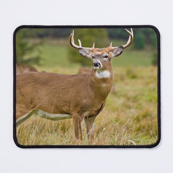Item preview, White-tailed Deer designed and sold by Michael Cummings.