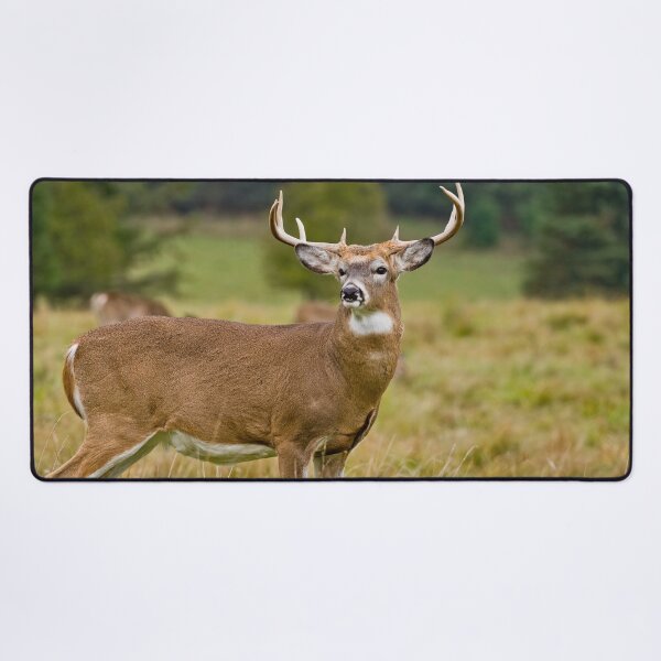 Item preview, White-tailed Deer designed and sold by Michael Cummings.