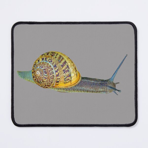 Item preview, Race Track Snail designed and sold by Dalyndigital Photography.