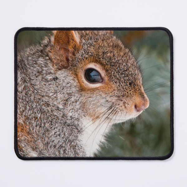 Item preview, Grey Squirrel designed and sold by Michael Cummings.