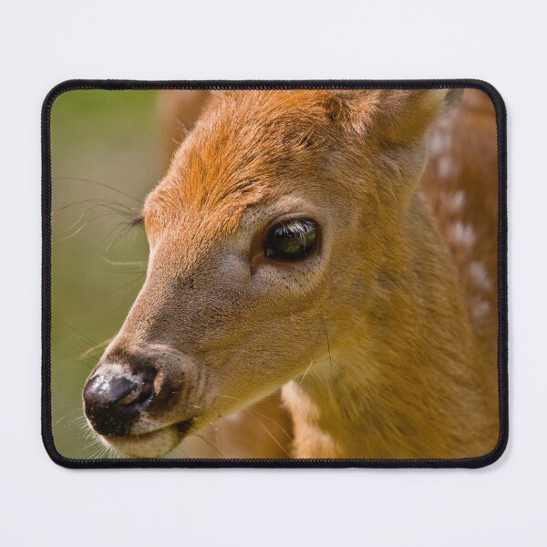 Item preview, White-tailed Deer designed and sold by Michael Cummings.