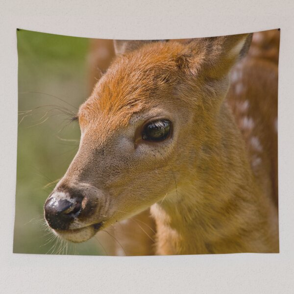 Item preview, White-tailed Deer designed and sold by Michael Cummings.
