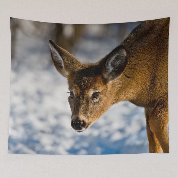 Item preview, White-tailed Deer designed and sold by Michael Cummings.