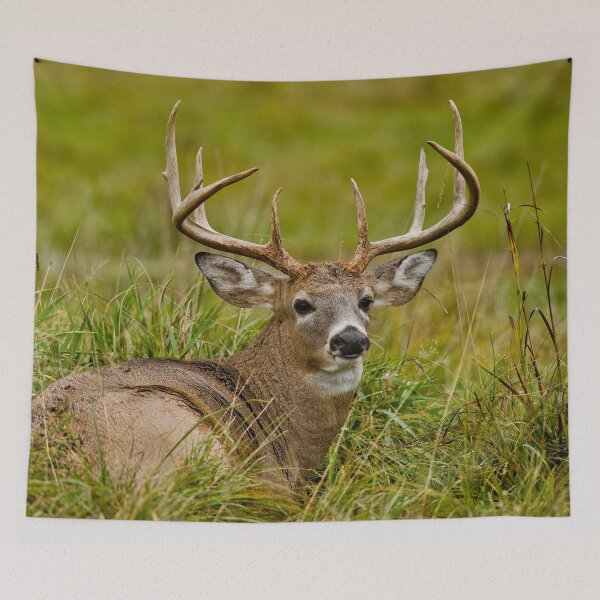 Item preview, White-tailed Deer designed and sold by Michael Cummings.