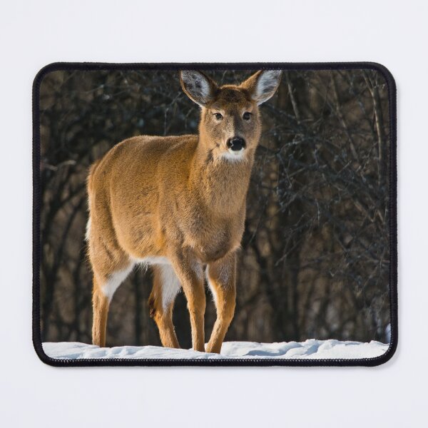 Item preview, White-tailed Deer designed and sold by Michael Cummings.