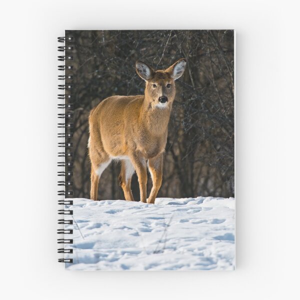 Item preview, White-tailed Deer designed and sold by Michael Cummings.