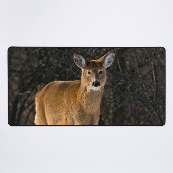 Item preview, White-tailed Deer designed and sold by Michael Cummings.