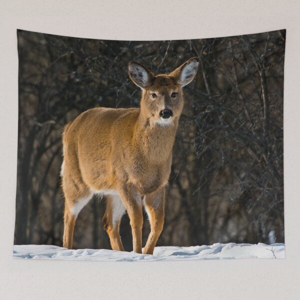 Item preview, White-tailed Deer designed and sold by Michael Cummings.
