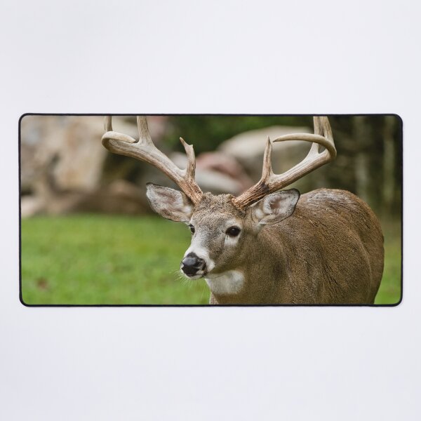 Item preview, White-tailed Deer designed and sold by Michael Cummings.