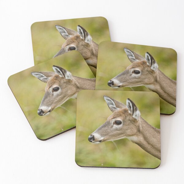 Item preview, White -tailed Deer designed and sold by Michael Cummings.