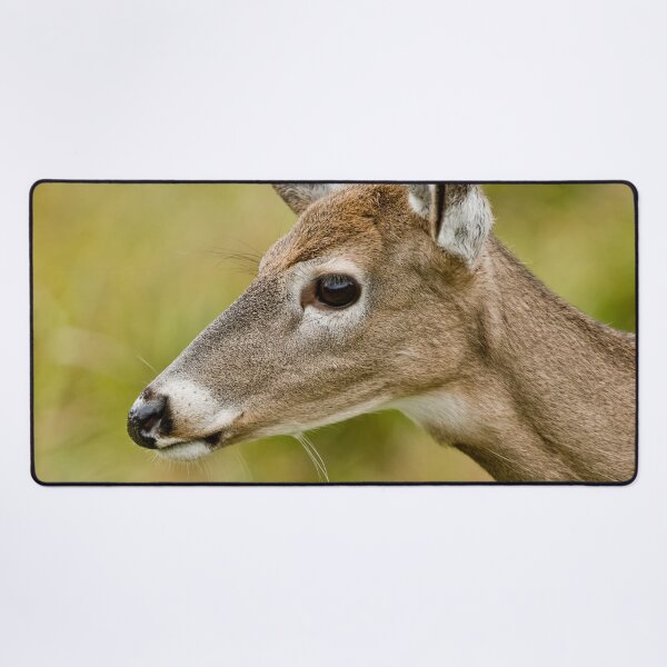 Item preview, White -tailed Deer designed and sold by Michael Cummings.