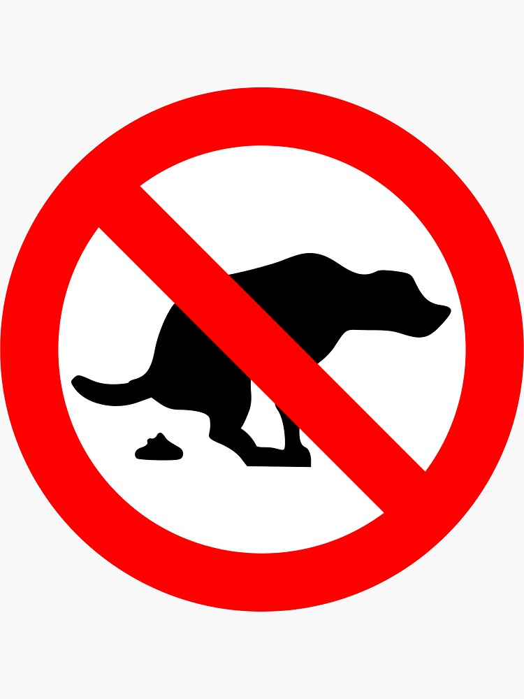 "Poopy Pants Biden, Poopy Pants, Poopy Pants Biden Funny, Poopy Pants