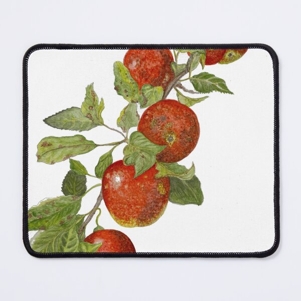 Item preview, Apples designed and sold by Art by Leanne P / Leanne Poellinger.