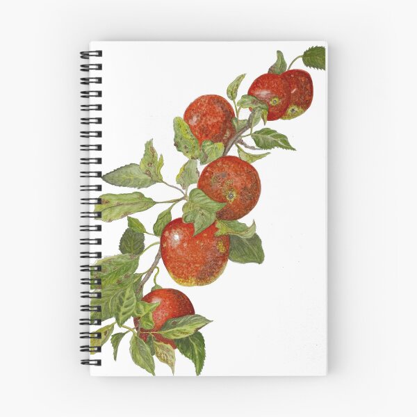 Item preview, Apples designed and sold by Art by Leanne P / Leanne Poellinger.