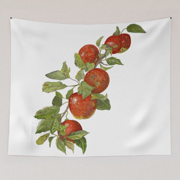 Item preview, Apples designed and sold by Art by Leanne P / Leanne Poellinger.