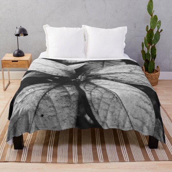 Item preview, black and white plant-black and white nature photography designed and sold by jinutt.