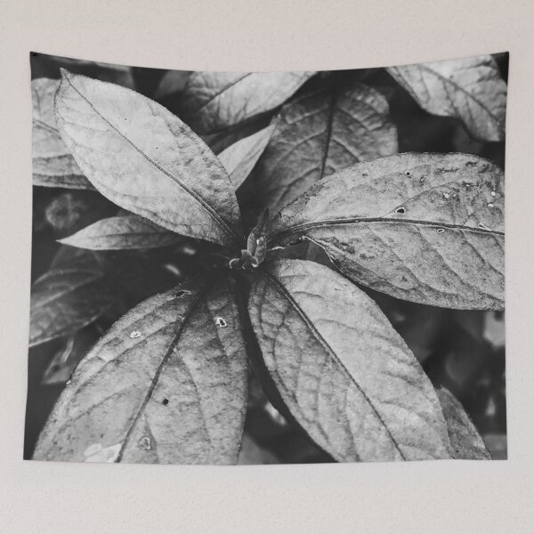 Item preview, black and white plant-black and white nature photography designed and sold by jinutt.