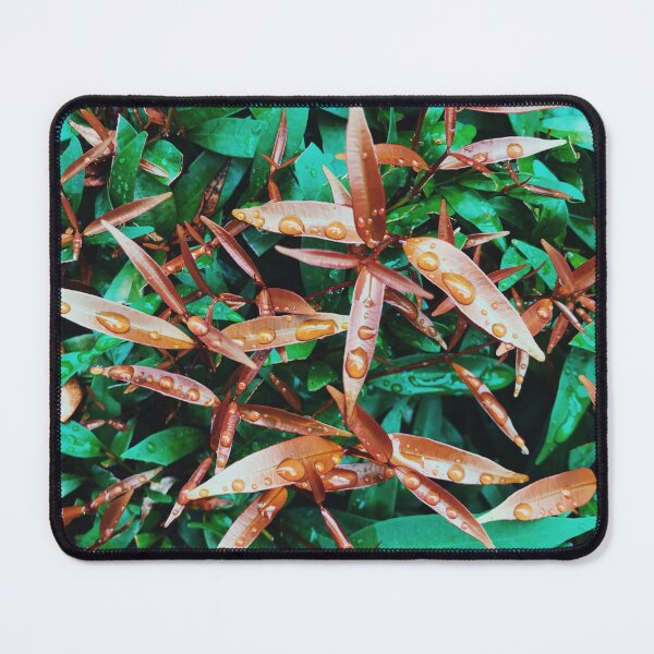 Item preview, leaves after the rain-Nature lover designed and sold by jinutt.